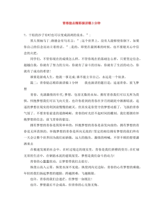 青春励志精彩演讲稿3分钟 