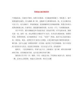 青春励志演讲稿范例 