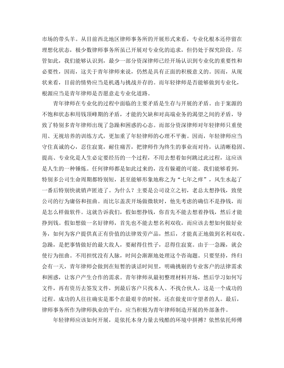 青年律师年度个人工作参考总结模板2024 _第3页