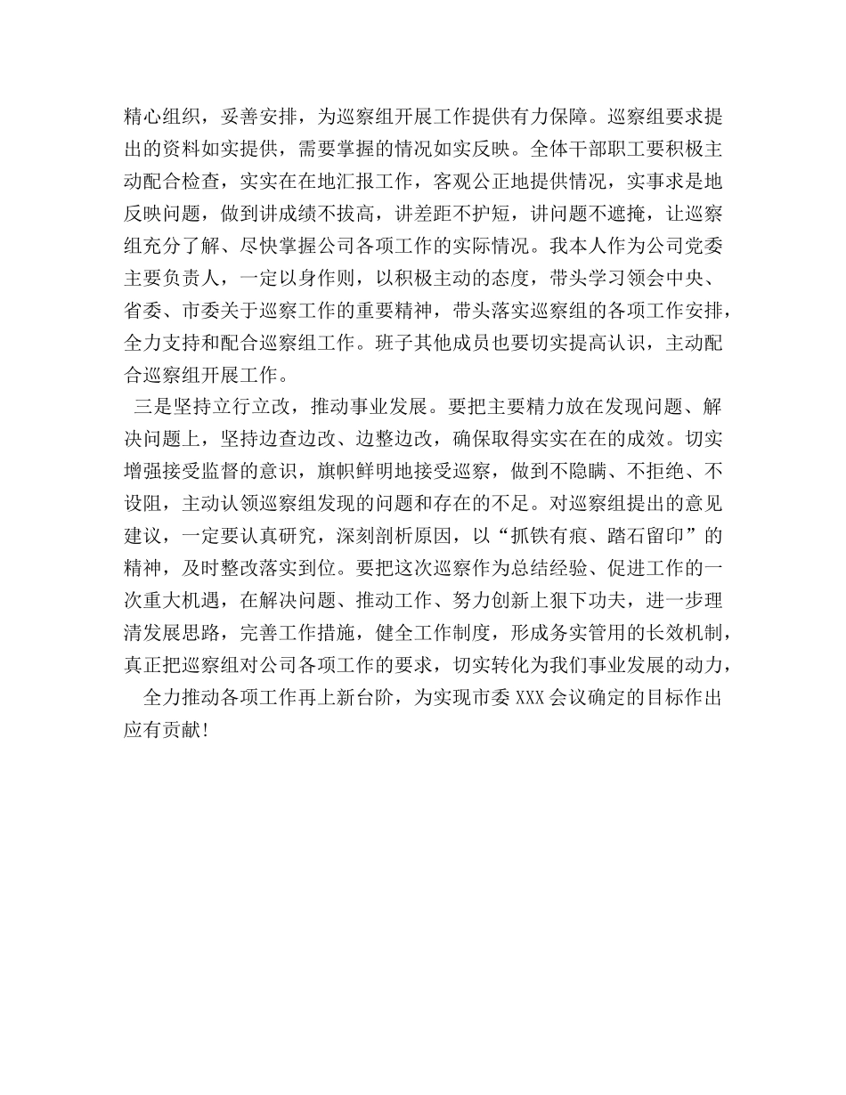 集团公司党委书记在巡察动员会上的表态发言 _第2页