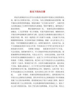 阳光下的向日葵 
