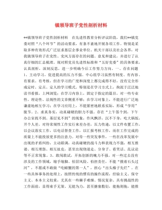 镇领导班子党性剖析材料 