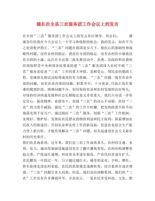 镇长在全县三农服务团工作会议上的发言 