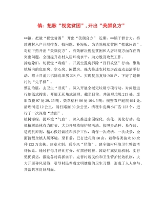 镇把脉“视觉贫困”,开出“美颜良方” 