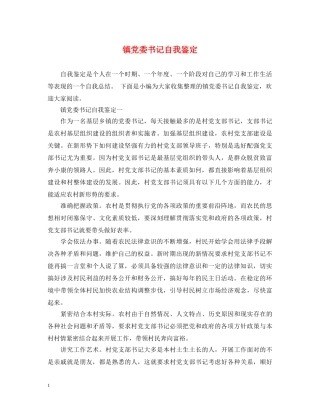 镇党委书记自我鉴定 