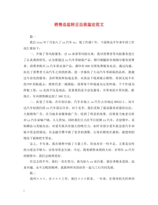 销售总监转正自我鉴定范文 