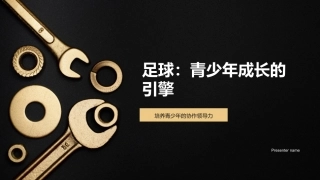 足球：青少年成长的引擎-培养青少年的协作领导力
