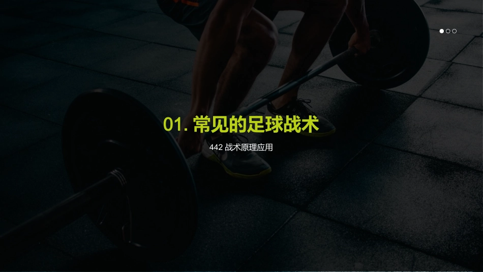 足球比赛技战术分析-新的比赛技战术介绍_第3页