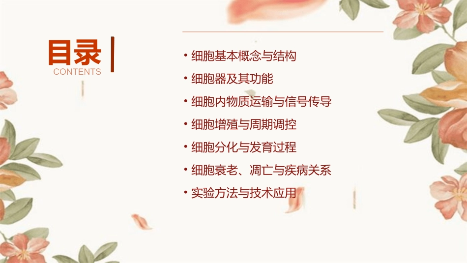 中职康复专业解剖生理学基础第二章第三节细胞_第2页