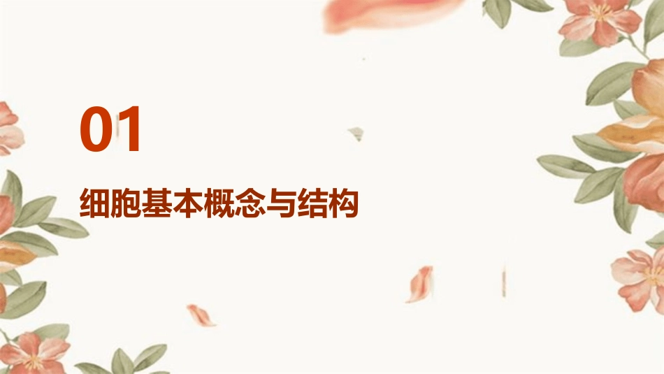 中职康复专业解剖生理学基础第二章第三节细胞_第3页