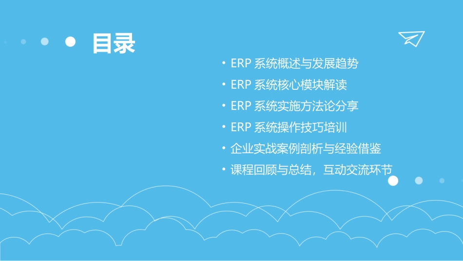 专业导师授课：2024年ERP系统培训_第2页