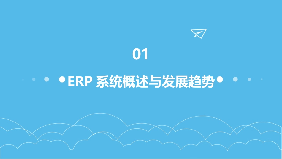 专业导师授课：2024年ERP系统培训_第3页