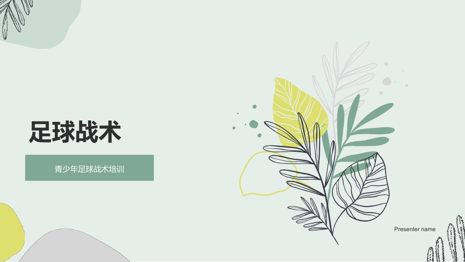 足球战术-青少年足球战术培训_第1页