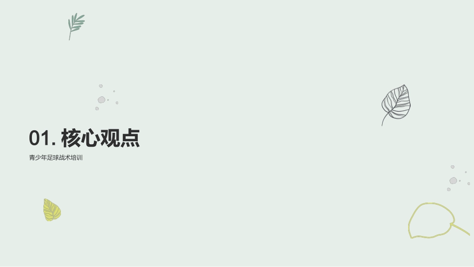 足球战术-青少年足球战术培训_第3页
