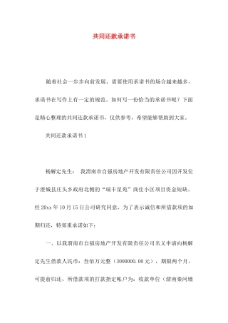 共同还款承诺书