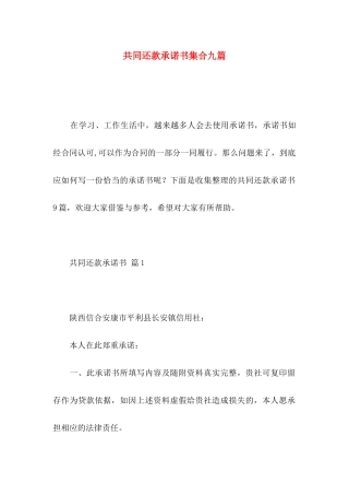 共同还款承诺书集合九篇 (2)
