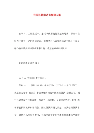 共同还款承诺书集锦5篇