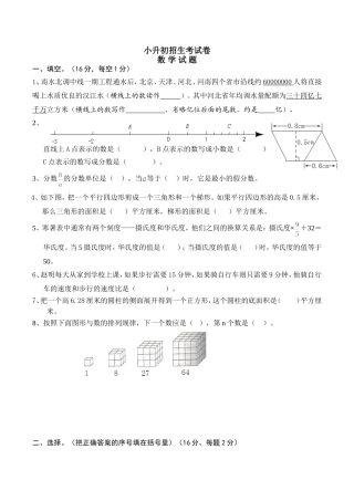 人教版小升初数学考试测试卷及答案