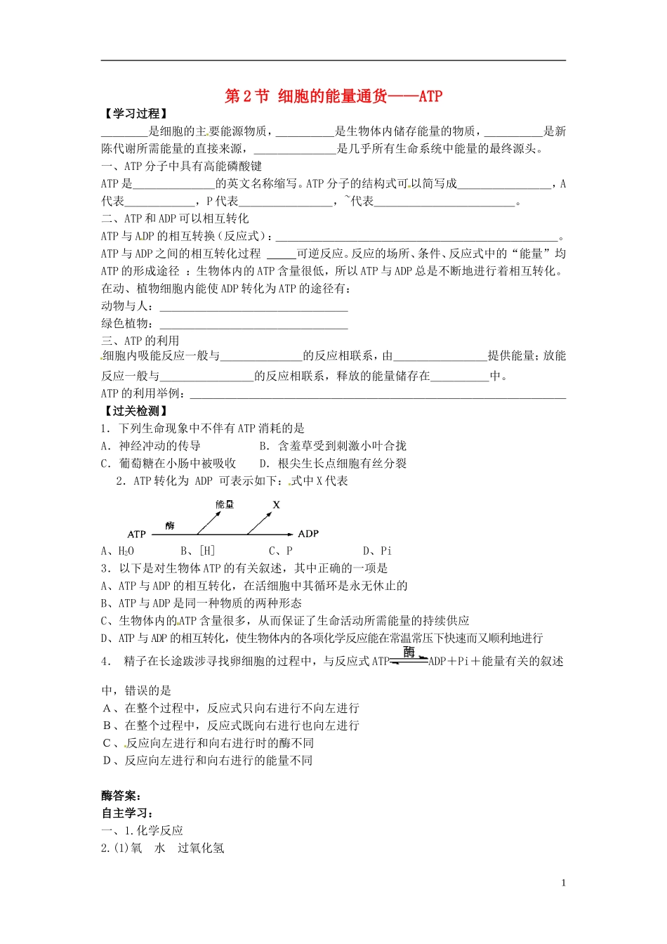 河北省邯郸四中高二生物《第2节 细胞的能量通货 ATP》学案_第1页