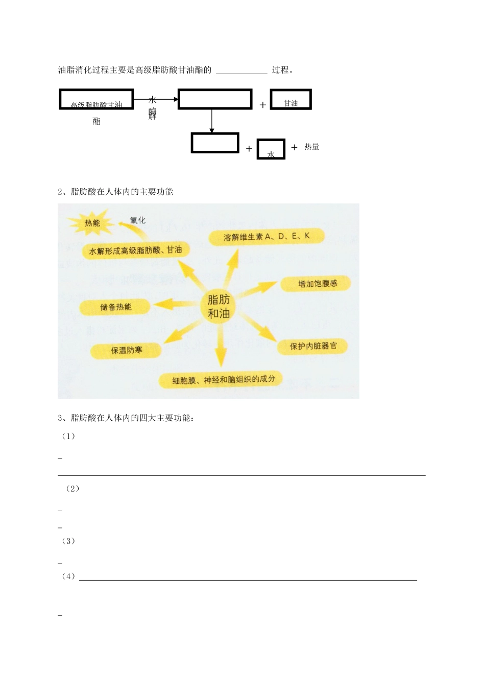 高中化学 第一章 关注营养平衡 第二节 体内能源油脂导学案 新人教版选修1-新人教版高二选修1化学学案_第2页