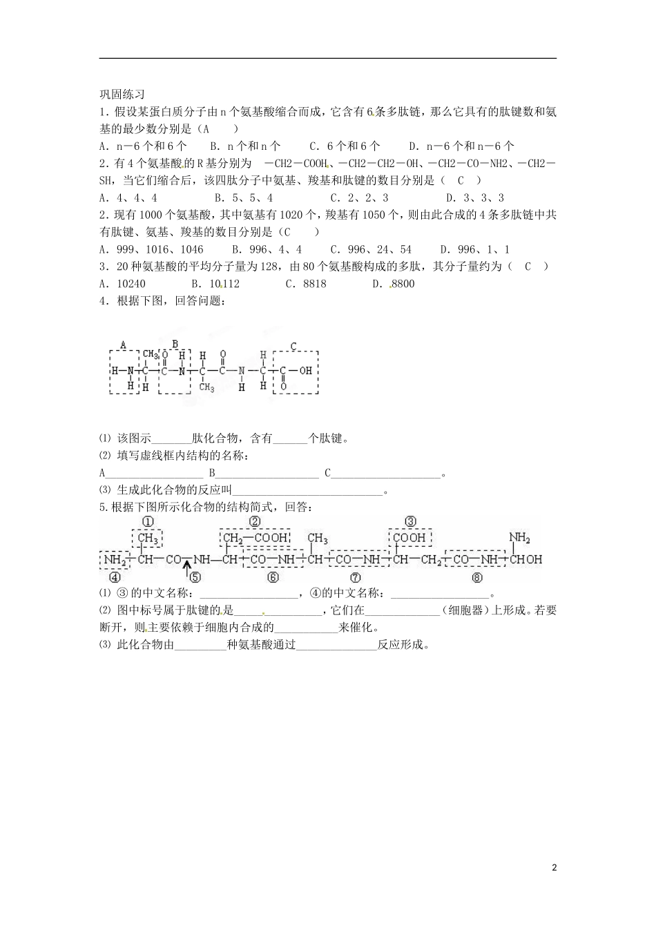 河北邯郸市第四中学高中生物 2.2蛋白质学案 新人教版必修1_第2页