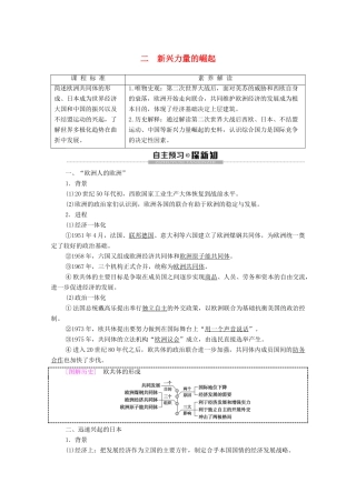 高中历史 专题9 当今世界政治格局的多极化趁势 2 新兴力量的崛起学案 人民版必修1-人民版高一必修1历史学案