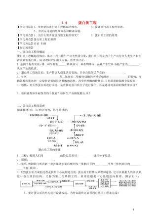 湖北省浠水县洗马高级中学高中生物《1.4 蛋白质工程》导学案 新人教版选修3