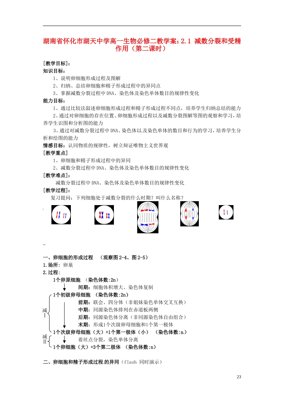 湖南省怀化市湖天中学高中生物 2.1 减数分裂和受精作用（第二课时）教学案 新人教版必修2_第1页