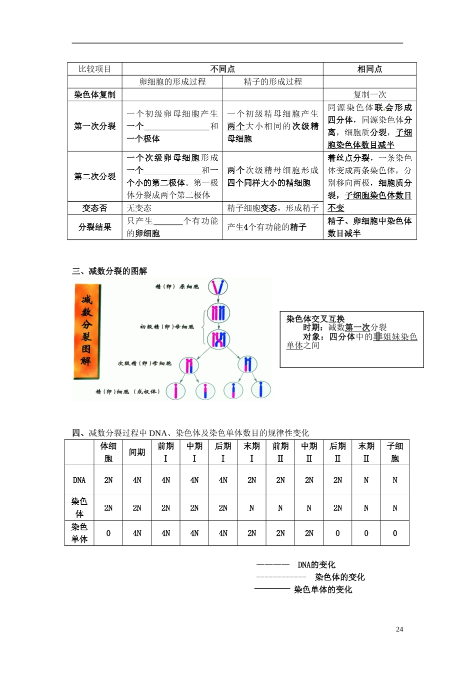 湖南省怀化市湖天中学高中生物 2.1 减数分裂和受精作用（第二课时）教学案 新人教版必修2_第2页