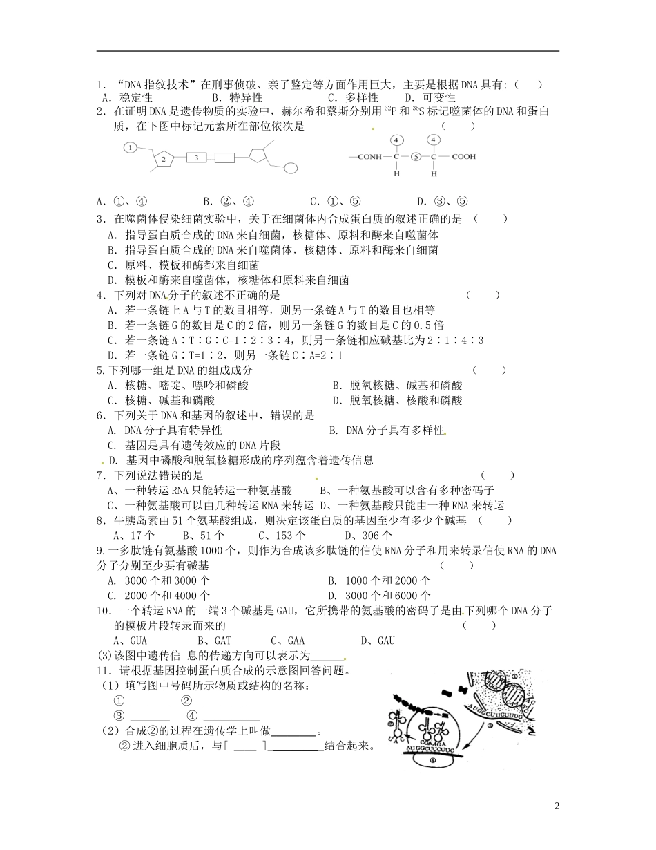 湖南省衡南县第九中学高中生物 第四章 基因的表达学案 新人教版必修2_第2页