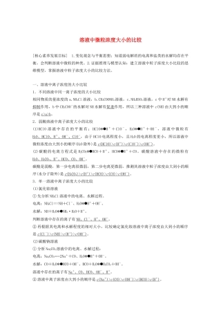 高中化学 专题3 溶液中的离子反应 第三单元 第3课时 溶液中微粒浓度大小的比较学案（选修4）-人教版高中选修4化学学案