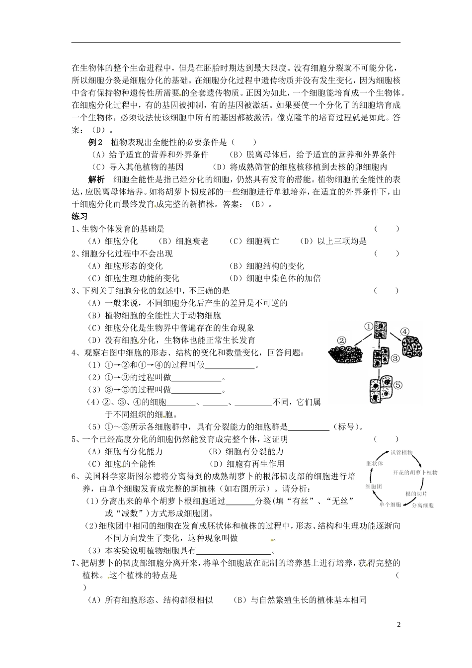 河北省邯郸四中高中生物《62细胞的分化》导学案 新人教版必修1_第2页
