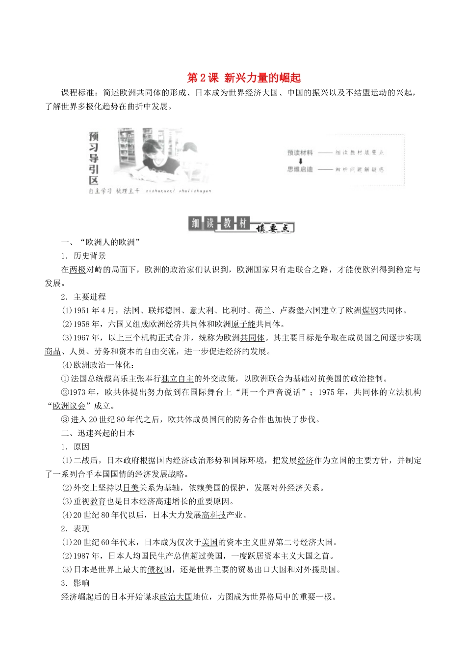 高中历史 专题9 当今世界政治格局的多极化趋势 第2课 新兴力量的崛起教学学案 人民版必修1-人民版高一必修1历史学案_第1页