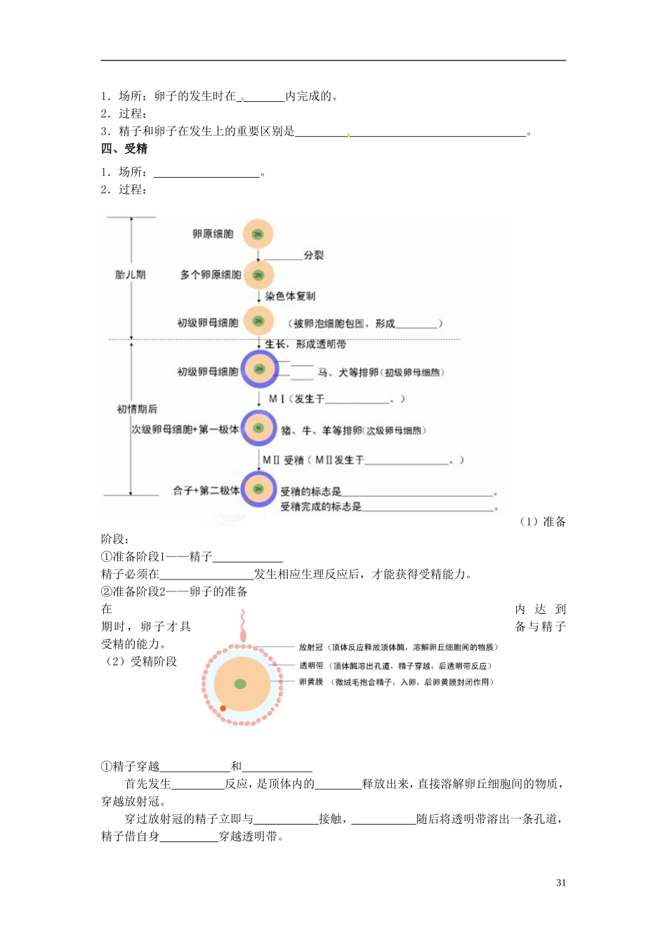 黑龙江省大庆外国语学校高二生物《体内受精和早期胚胎发育》学案 新人教版_第2页