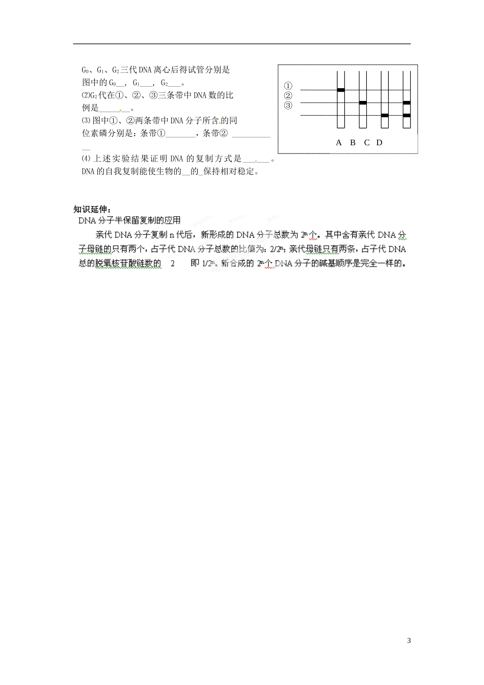 湖南省怀化市湖天中学高中生物 3.3 DNA的复制教学案 新人教版必修2_第3页