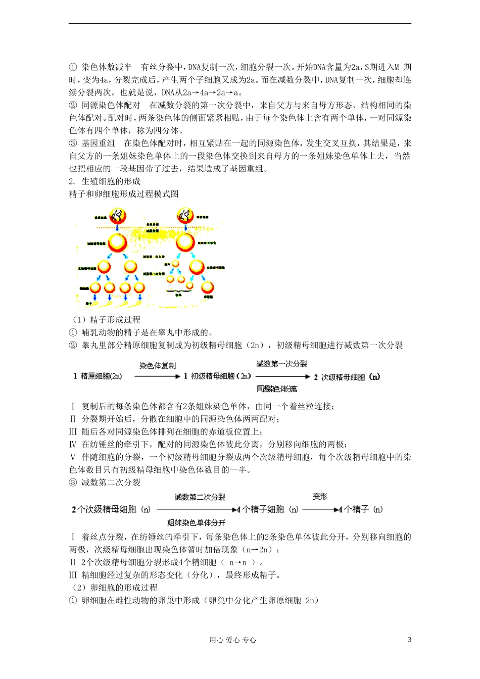 江苏淮阴中学高中生物《减数分裂》学案5 苏教版必修2_第3页