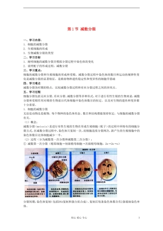 江苏淮阴中学高中生物《减数分裂》学案5 苏教版必修2