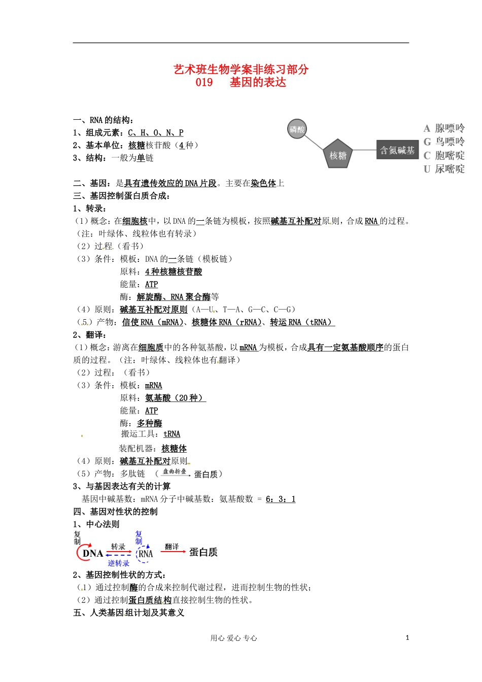 河北省广平县第一中学高中生物《019 基因的表达》学案（艺术班）_第1页