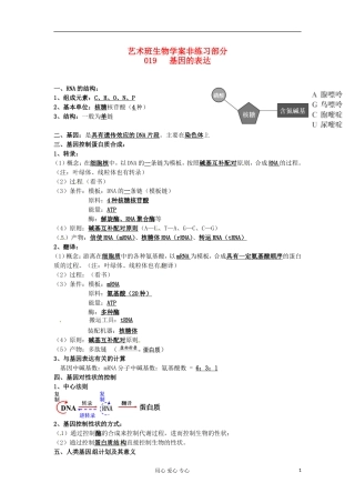 河北省广平县第一中学高中生物《019 基因的表达》学案（艺术班）