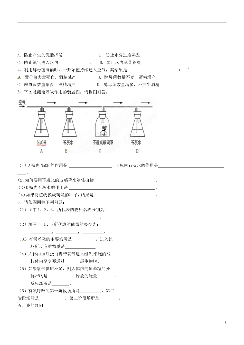 海南省海口市第十四中学高中生物 第五章 第3节 ATP的主要来1导学案 新人教版必修1_第3页