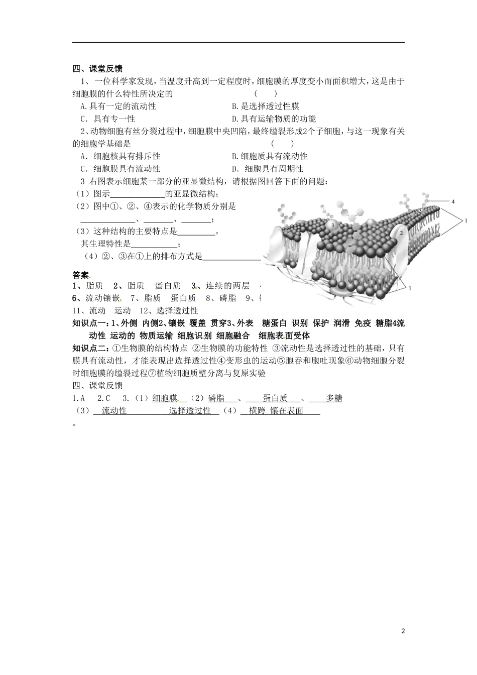 河北省邯郸四中高二生物《4.2生物膜》学案_第2页