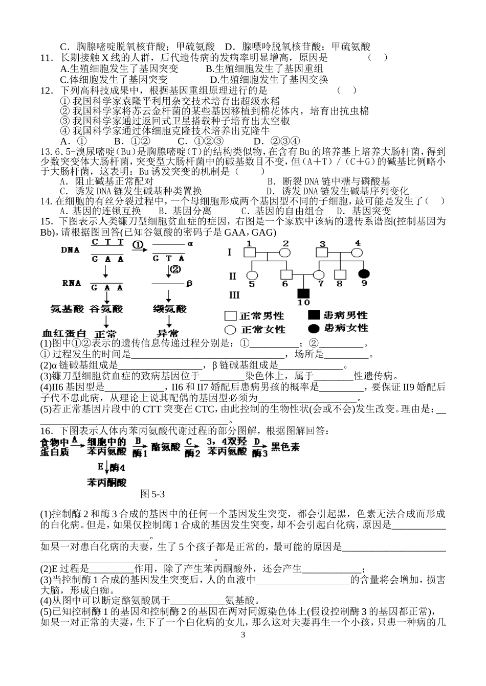 基因突变及其他变异1_第3页