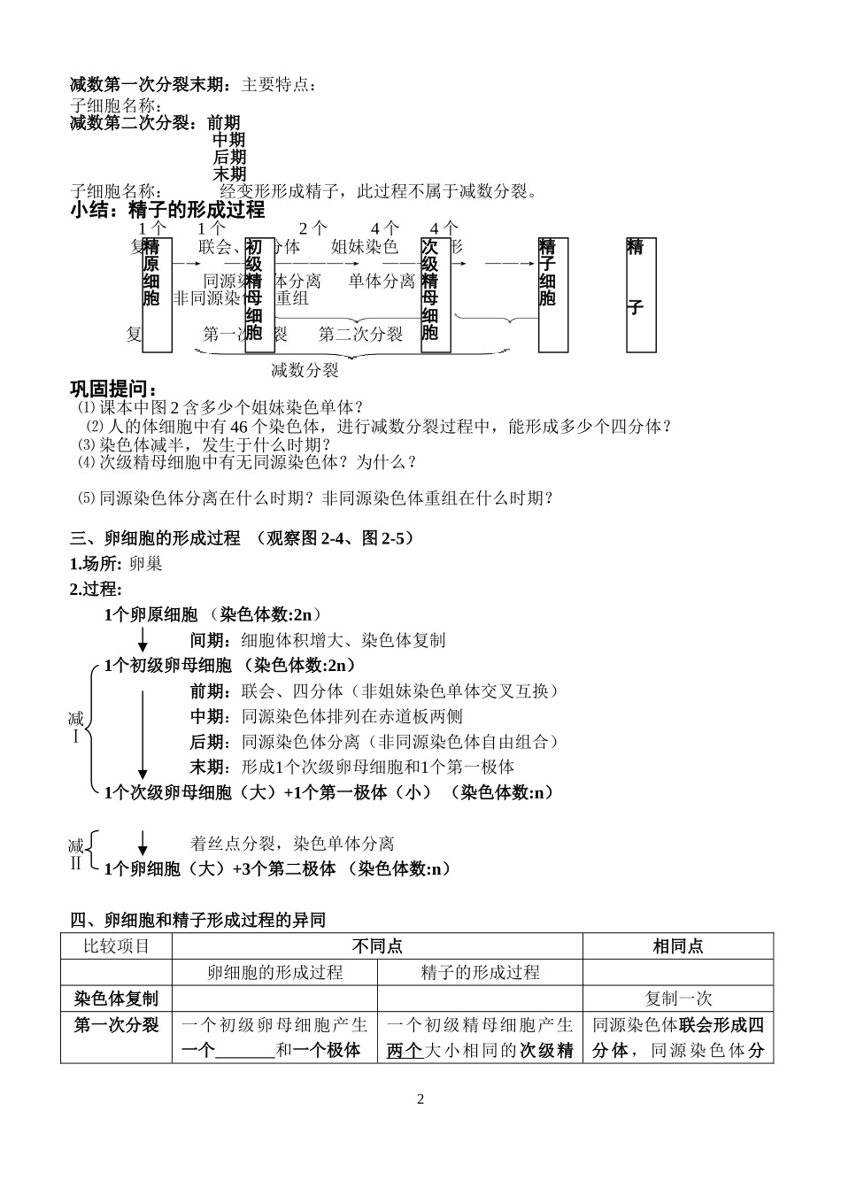 减数分裂和受精作用_第2页