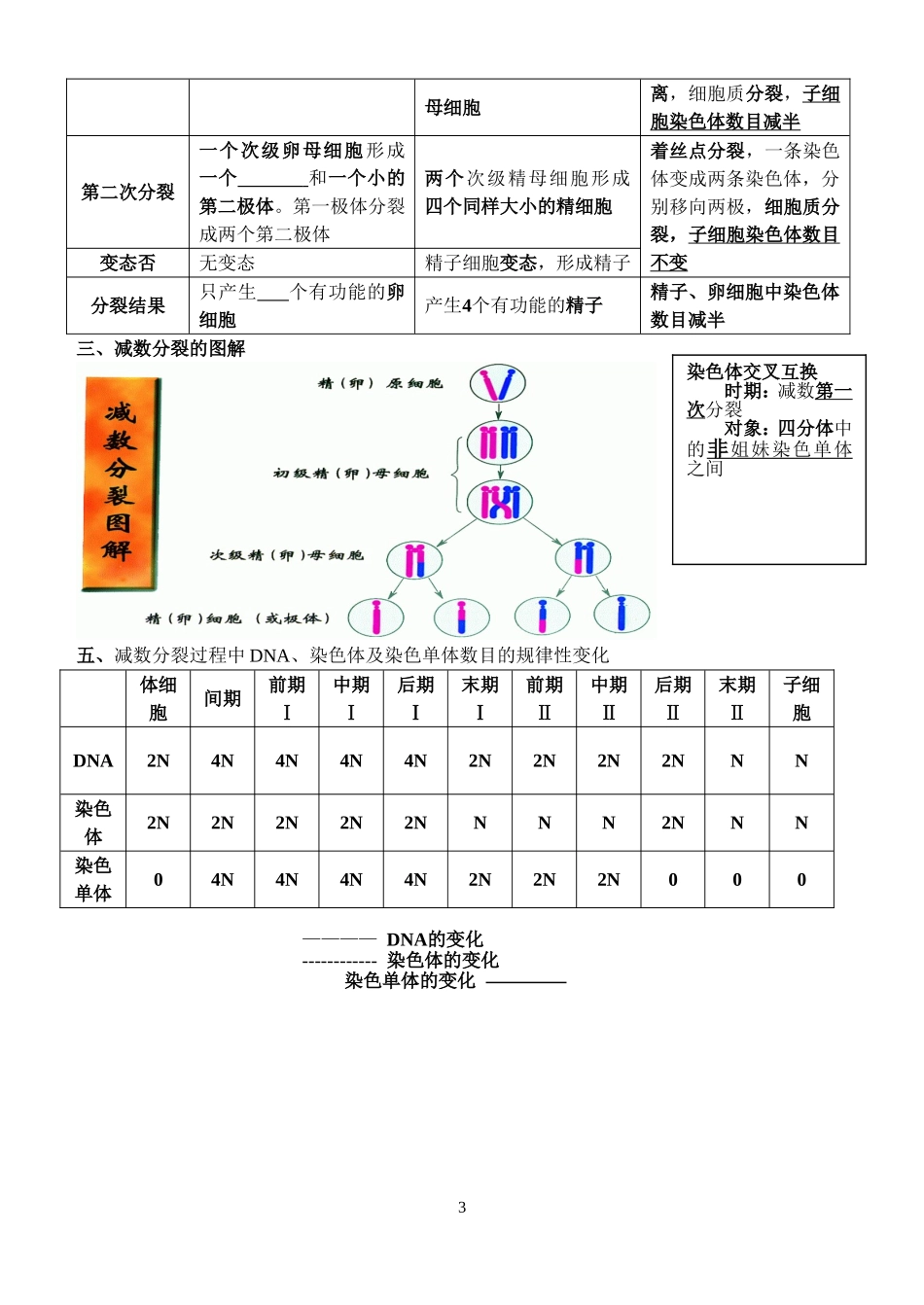 减数分裂和受精作用_第3页