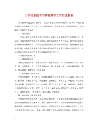 小学信息技术与实验教学工作自查报告 