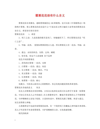 罂粟花花语有什么含义 