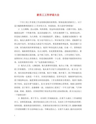 新员工工作评语大全 