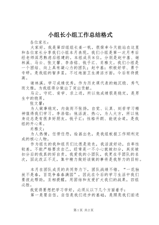 小组长小组工作总结格式 