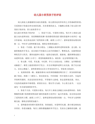 幼儿园小班男孩子的评语 