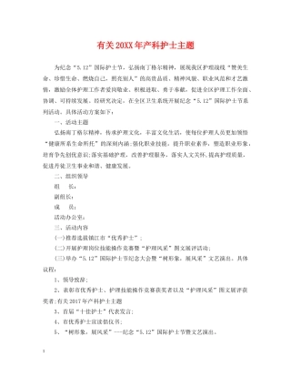 有关20XX年产科护士主题 